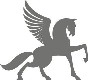 Pegasus Fire and Security